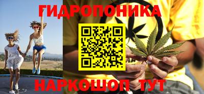 твердый Будённовск
