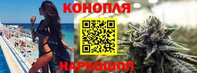 твердый Будённовск